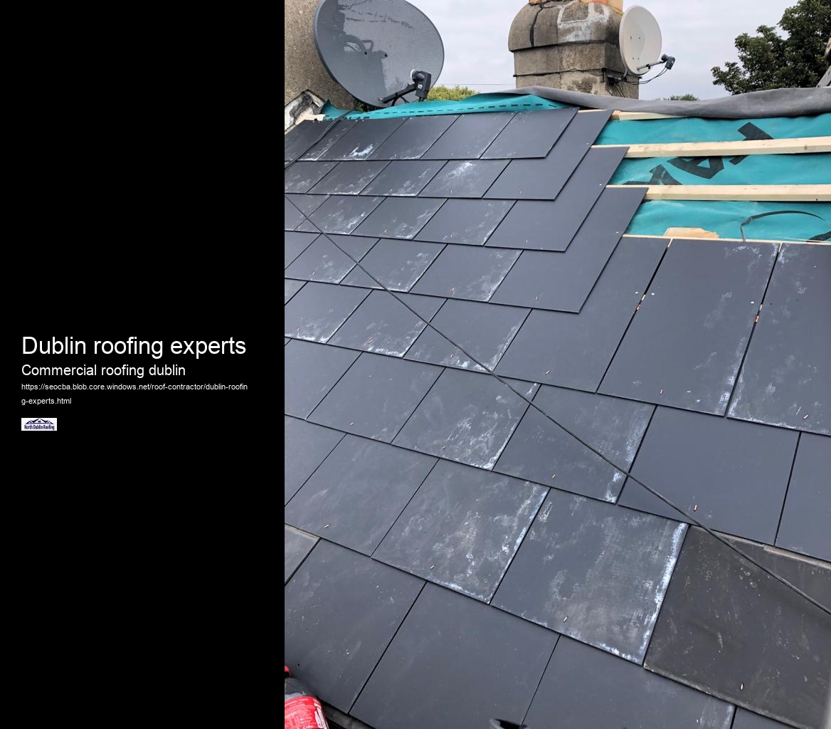 Dublin roofing experts