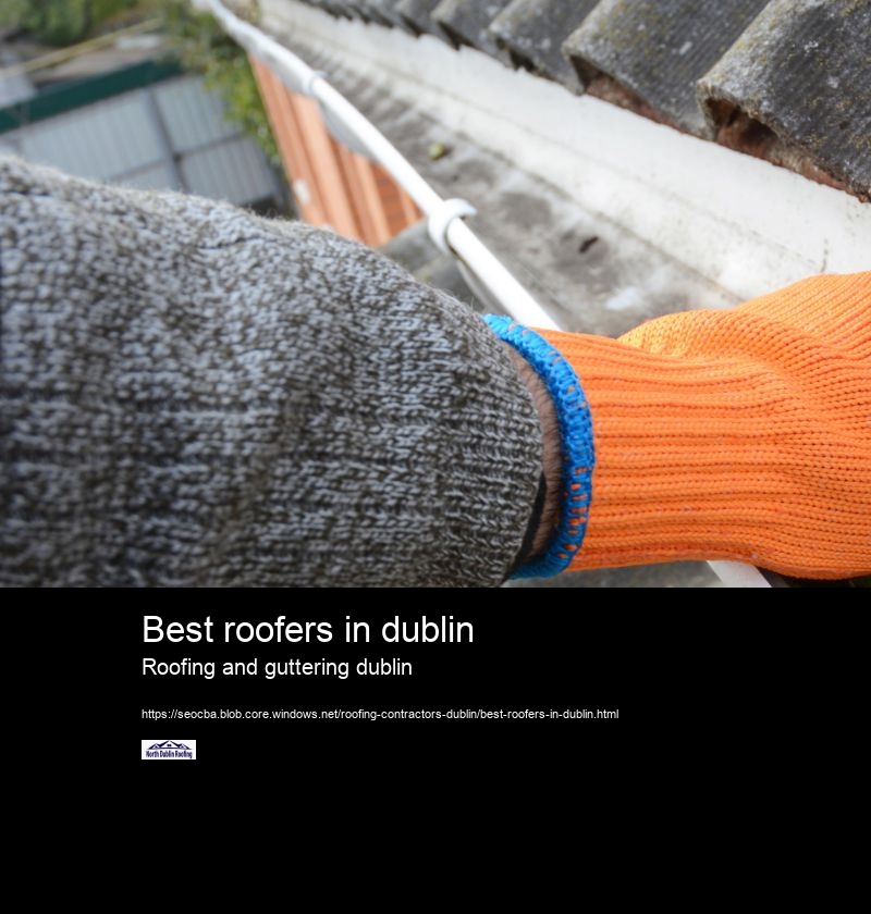 Best roofers in dublin