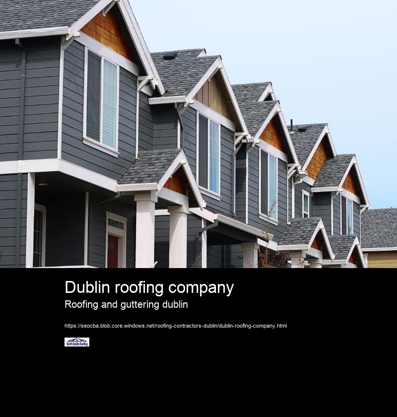 Dublin roofing company