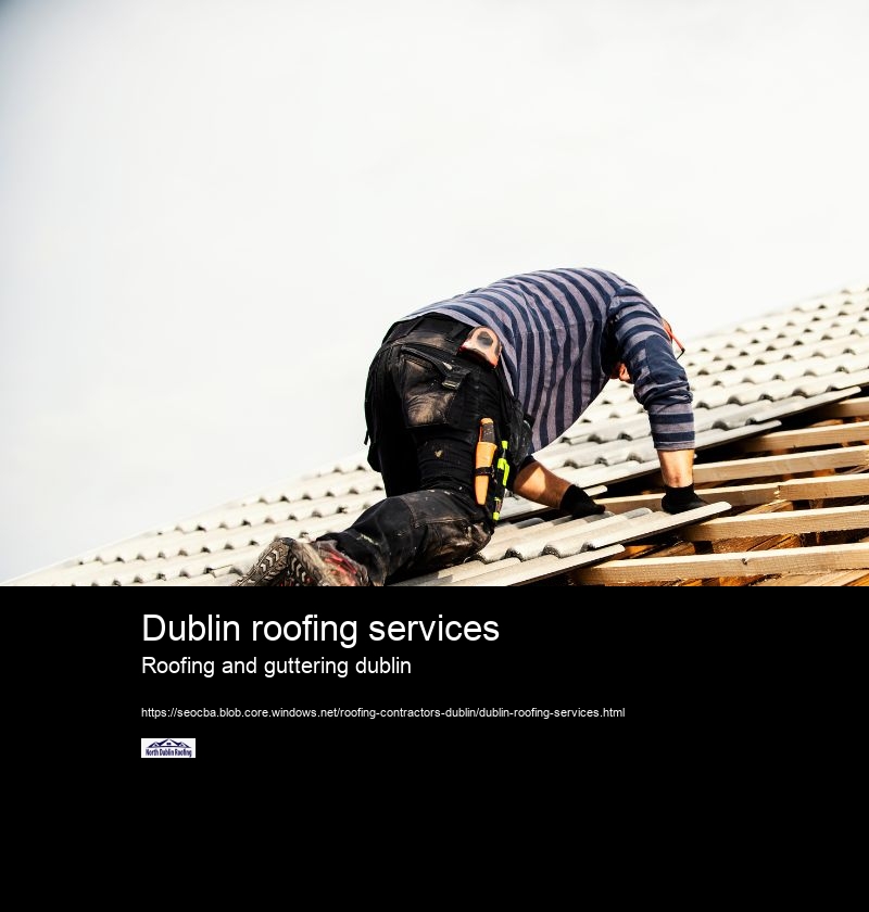 Dublin roofing services