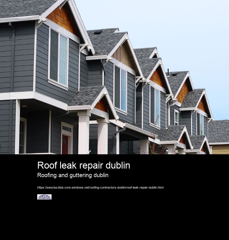 Roof leak repair dublin