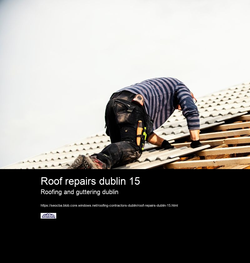 Roof repairs dublin 15