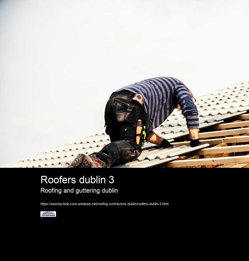 Roofers dublin 3