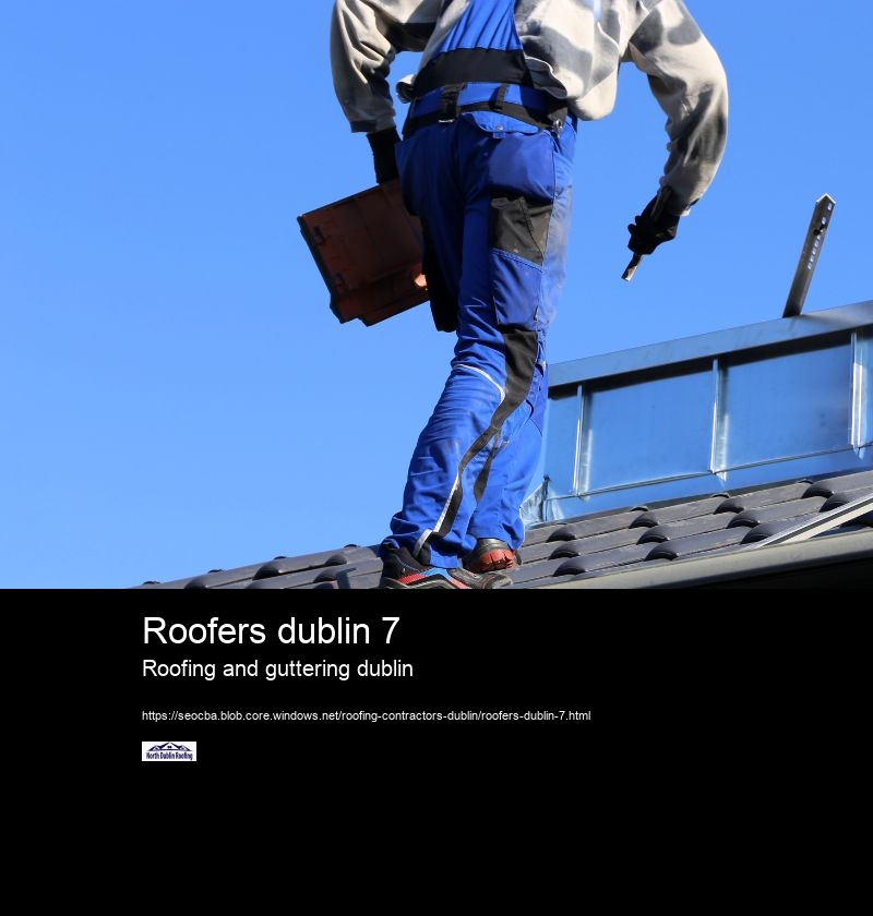 Roofers dublin 7