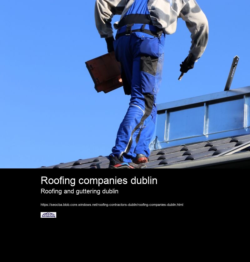 Roofing companies dublin