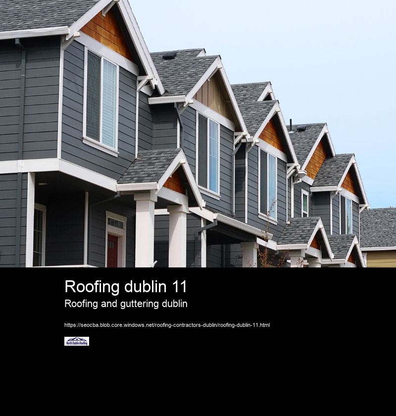 Roofing dublin 11
